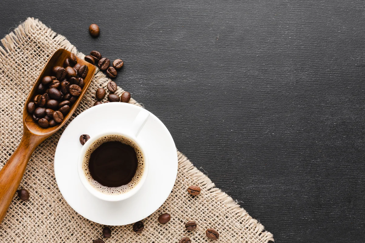 假資料1假資料1假資料1假資料1